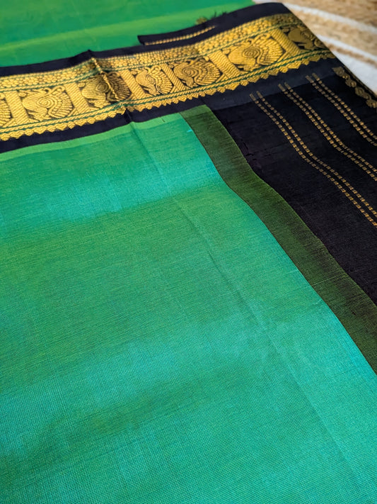 Varnam - Pure Kanchipuram Silk Cotton Saree in Green & Black Korvai